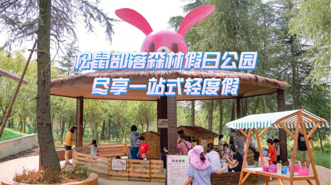 委内瑞拉篮球联赛决赛预售门票风靡全球的简单介绍